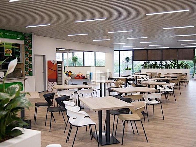 Gewerbefläche zur Miete, 237 m² (10 von 10)