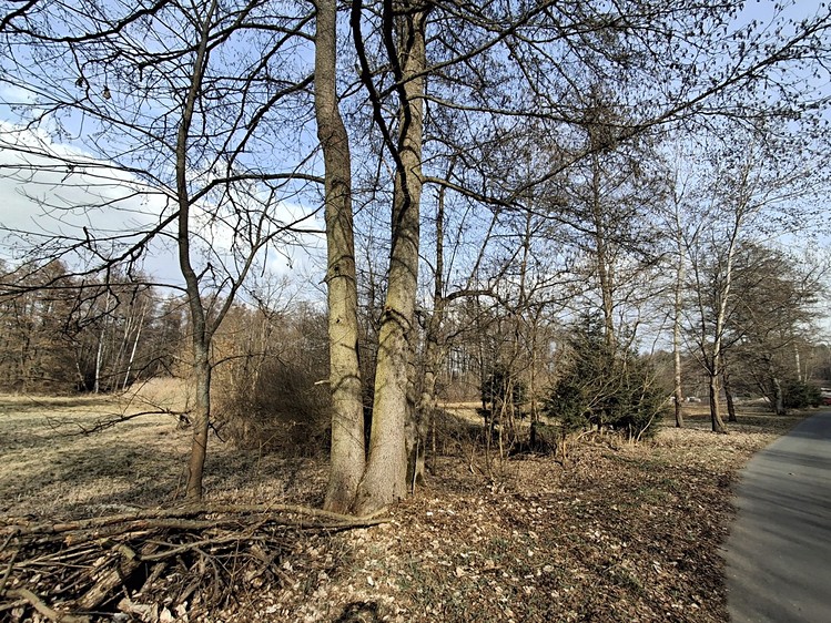 Prodej pozemku, 5 732 m² (9 z 10)