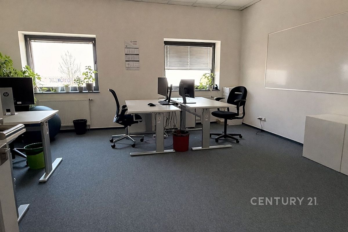 Pronájem kanceláře 450 m² – fotografie 2