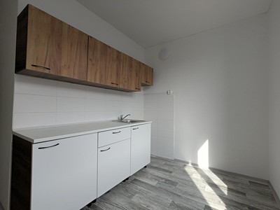 Pronájem bytu 1+1 36 m² (Jednopodlažní)