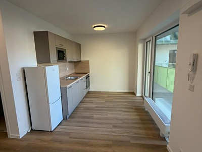 Pronájem bytu 1+kk 26 m² (Jednopodlažní)