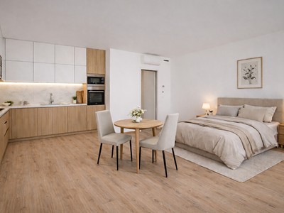 Prodej bytu 1+kk 46 m² (Jednopodlažní)