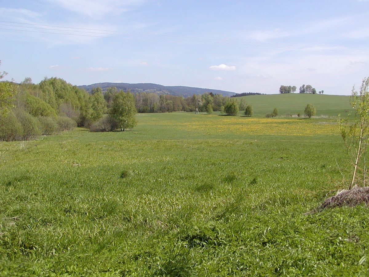 Prodej stavebního pozemku 48837 m² – fotografie 2