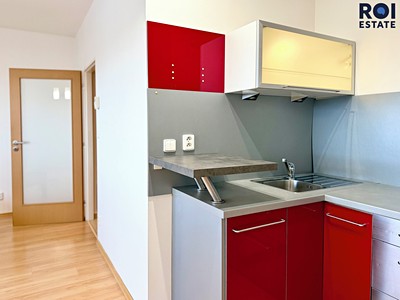 Pronájem bytu 1+kk 43 m²
