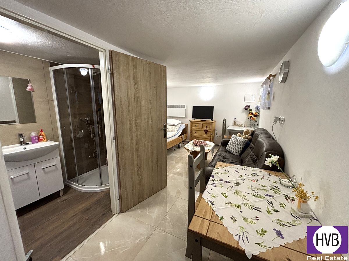 Pronájem bytu 1+1 60 m² – fotografie 3