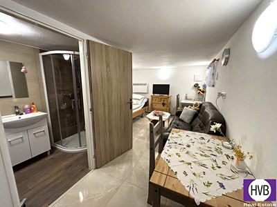 Wohnung 1+1 zur Miete, 60 m² (3 von 7)