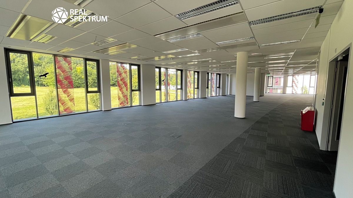 Pronájem kanceláře 250 m², Brno – fotka 1 z 3