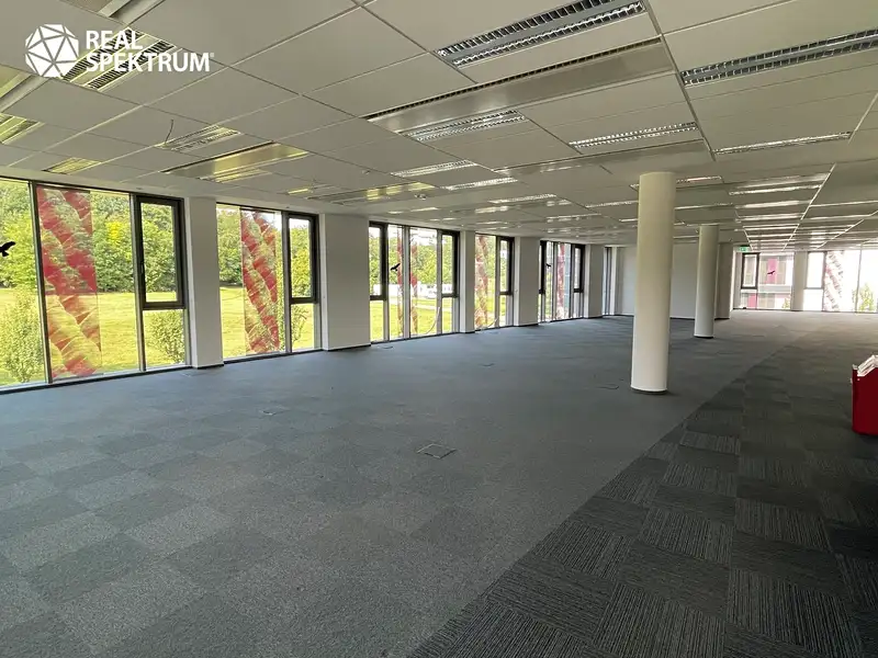 Pronájem kanceláře 250 m², Brno – náhled fotky 1
