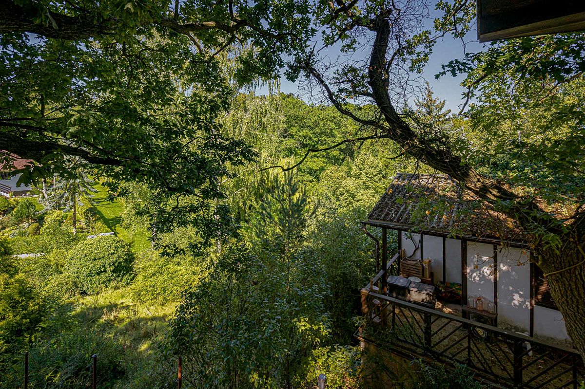 Prodej chaty 26 m², pozemek 469 m² – fotografie 2