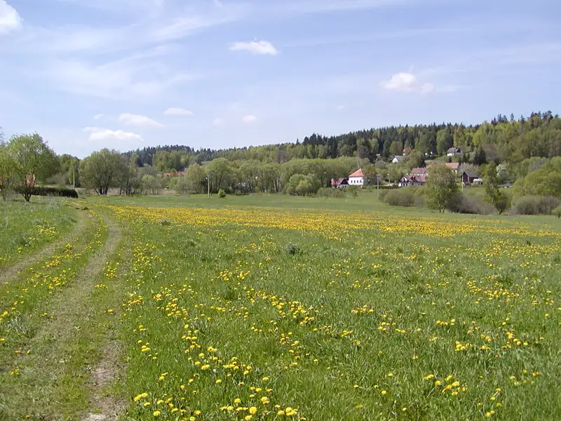 Prodej stavebního pozemku 48837 m², Malonty – náhled fotky 3