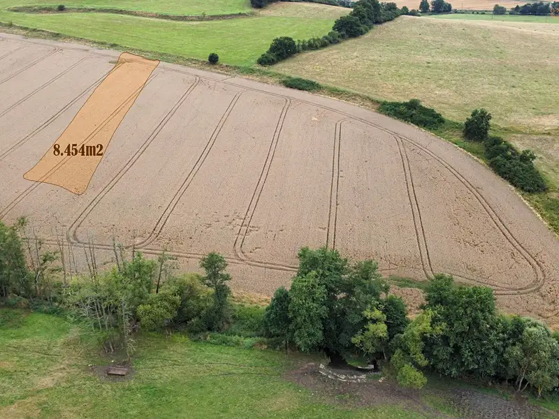 Prodej pole 44796 m², Srby – náhled fotky 2