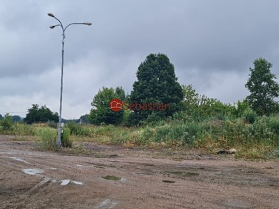 Pronájem  komerčního pozemku 10 995 m² — photo 4
