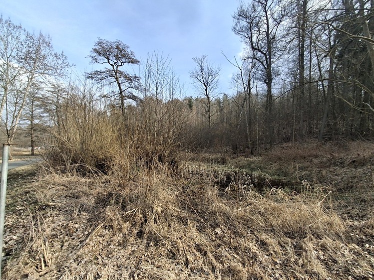 Prodej pozemku, 5 732 m² (8 z 10)