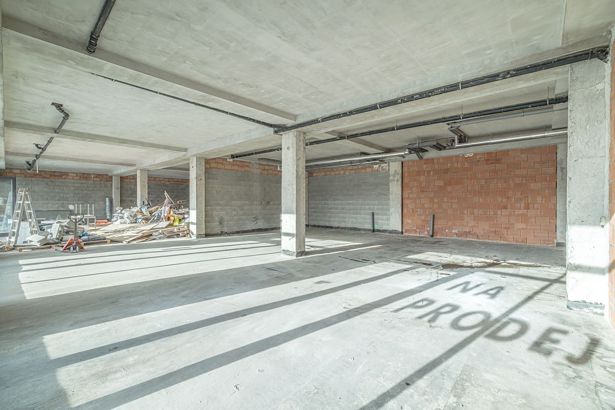 Prodej obchodního prostoru 256 m²