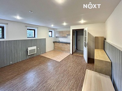 Prodej bytu 1+1 45 m² (Jednopodlažní)