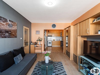 Pronájem bytu 2+kk 49 m²