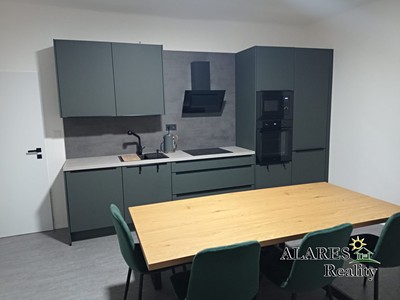 Pronájem bytu 1+1 55 m²