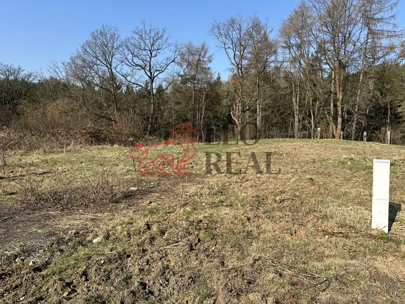 Prodej stavebního pozemku 1100 m², Ludvíkovice – náhled fotky 2