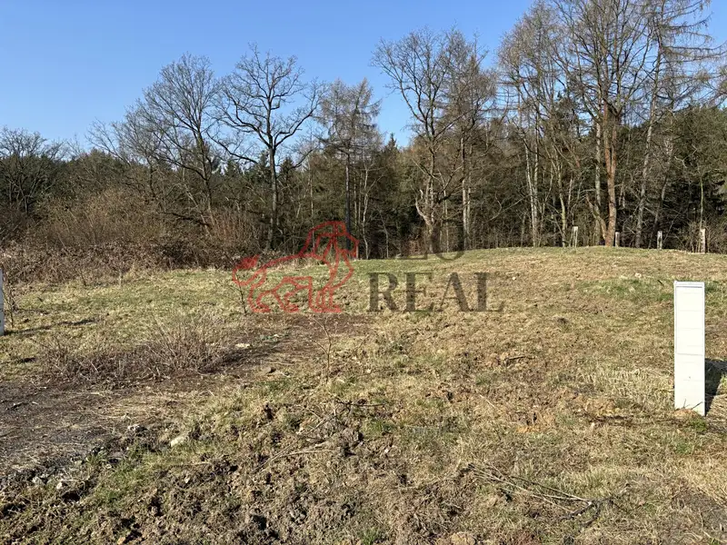 Prodej stavebního pozemku 1100 m², Ludvíkovice – náhled fotky 1