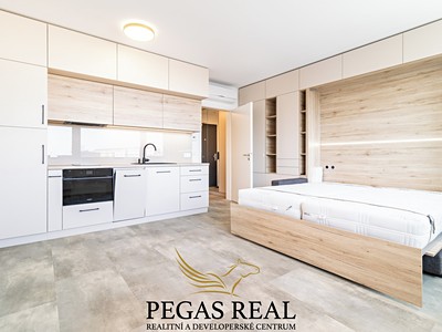 Pronájem bytu 1+kk 33 m²