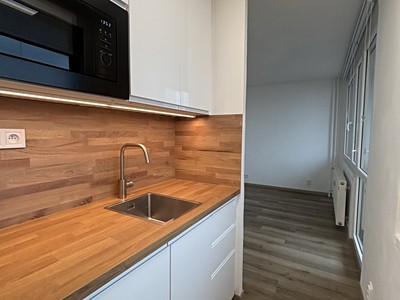 Pronájem bytu 1+kk 31 m²