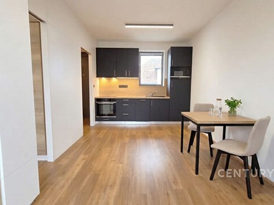 Pronájem bytu 2+kk 33 m²
