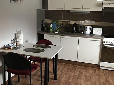 Pronájem bytu 1+1 40 m²