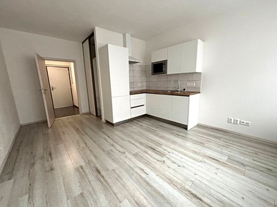 Pronájem bytu 1+kk 29 m²