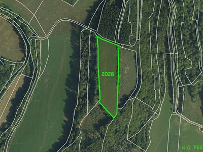 Prodej louky 10032 m²