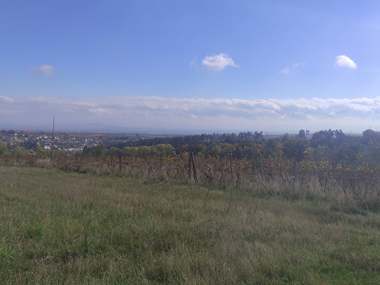 Grundstück zum Kauf, 4.846 m² (4 von 5)