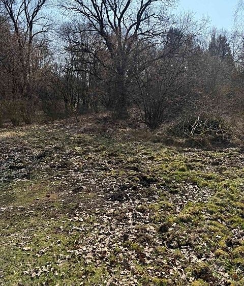 Prodej pozemku, 1 081 m² (4 z 6)