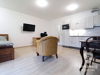 Pronájem bytu 1+kk 38 m²