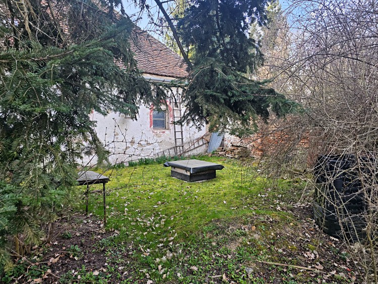 Ostatní