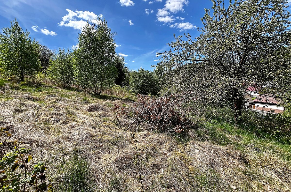 Prodej stavebního pozemku 1039 m²