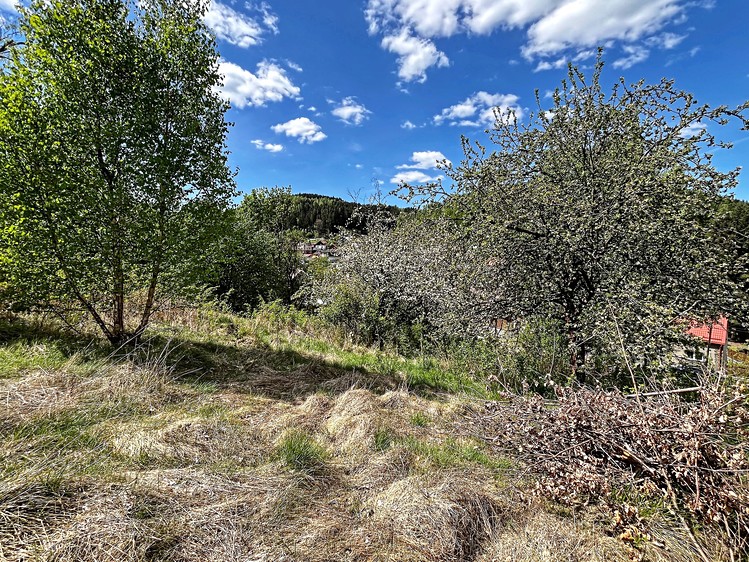 Grundstück zum Kauf, 1.039 m² (8 von 12)