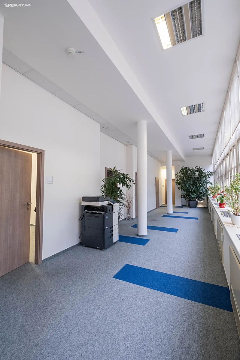 Pronájem kanceláře 300 m² – fotografie 5