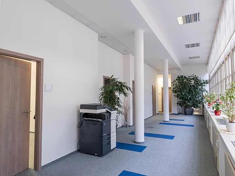 Комерційне приміщення в оренду, 300 м² (5 з 10)