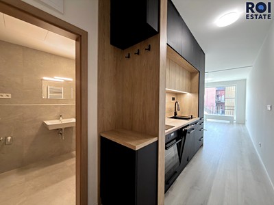 Pronájem bytu 1+kk 34 m² (Jednopodlažní)