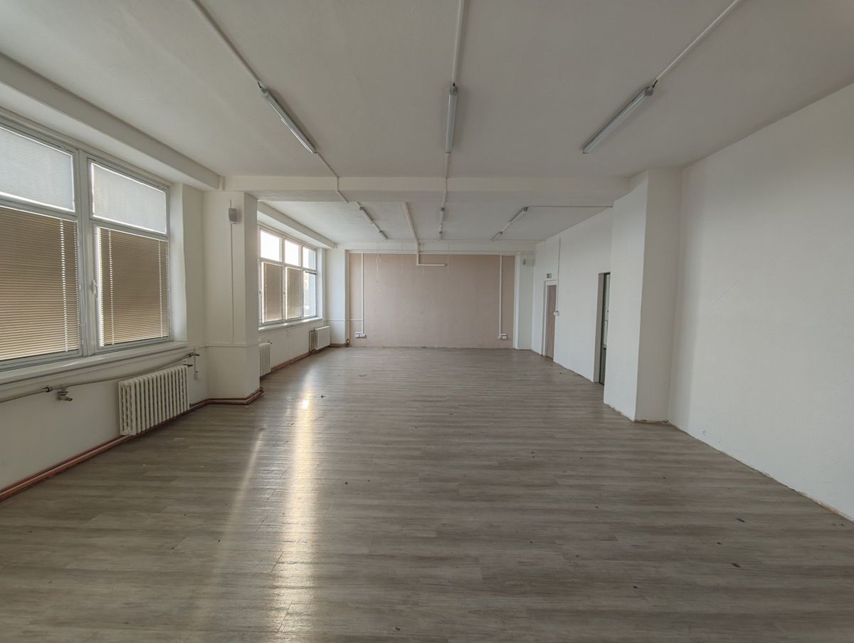 Pronájem výrobní haly, prostoru 48 m² – fotografie 2