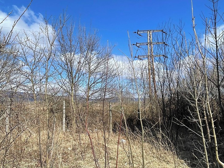 Grundstück zum Kauf, 84.700 m² (18 von 28)