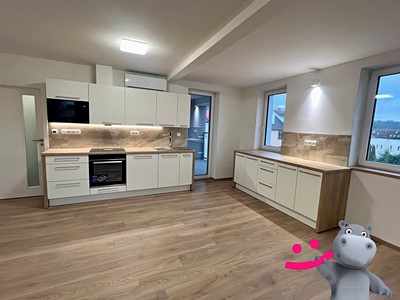 Pronájem bytu 4+kk 92 m² (Podkrovní)