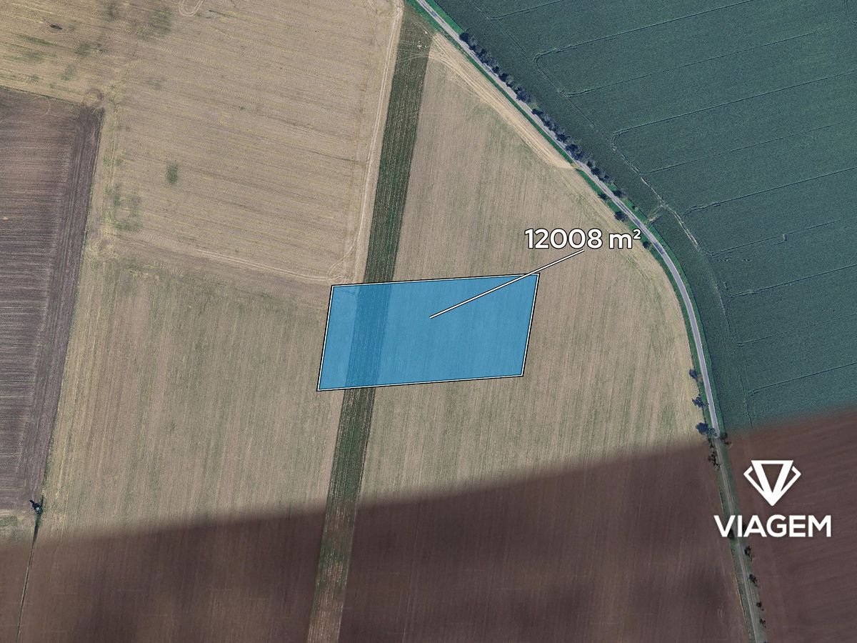 Prodej pole 12008 m² – fotografie 2