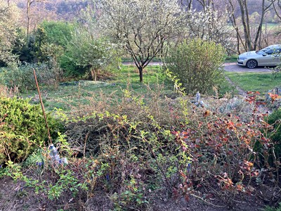 Prodej  zahrady 478 m² — photo 4