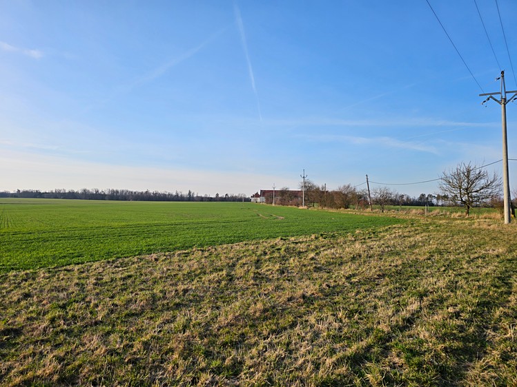 Ostatní