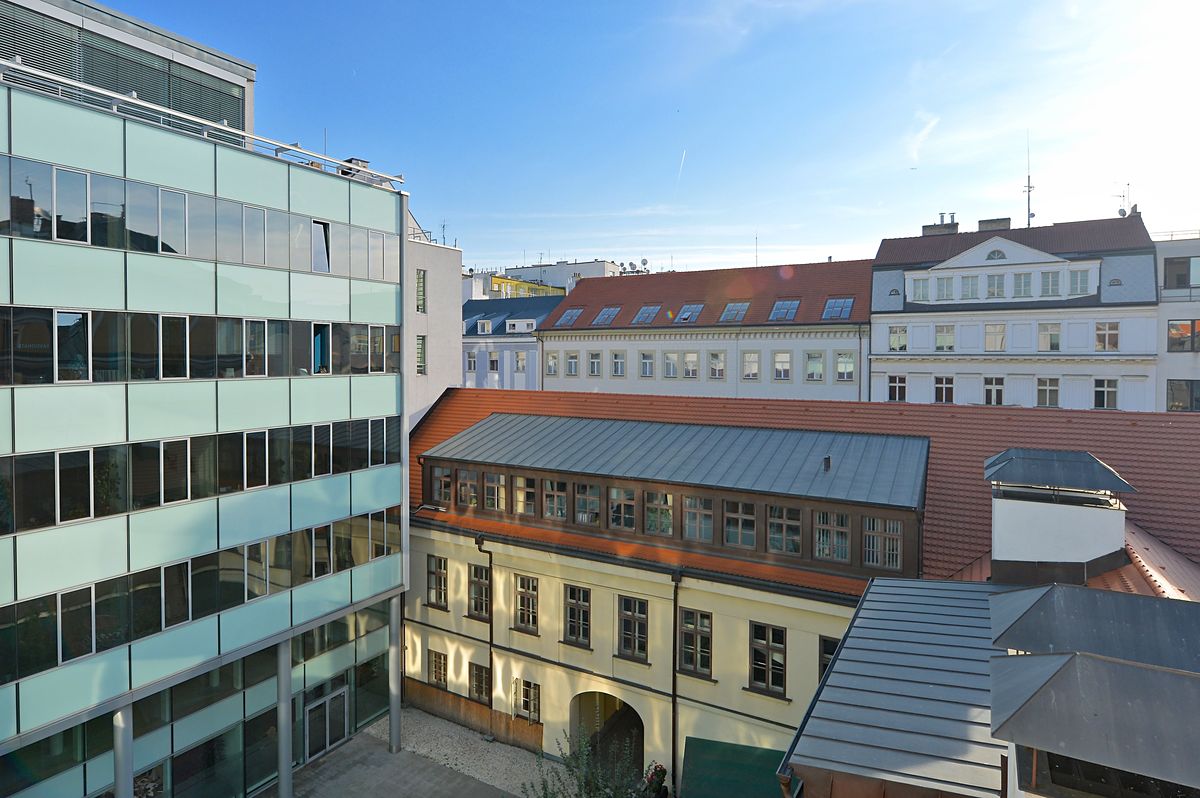 Pronájem kanceláře 300 m²