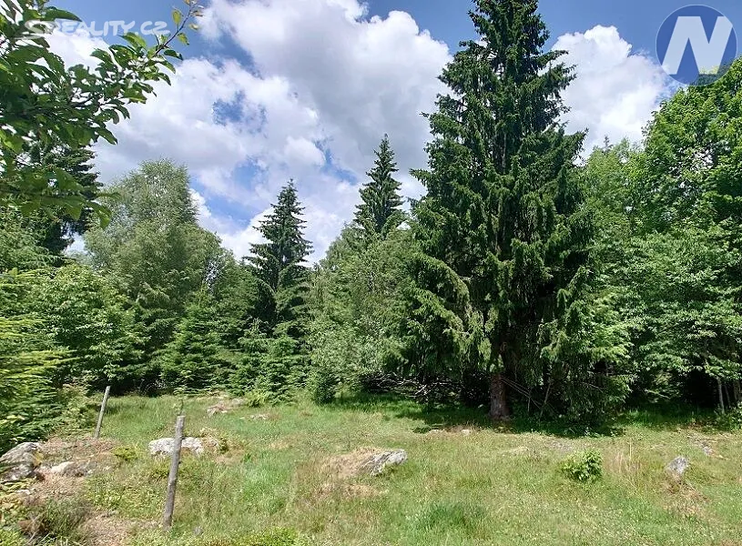 Prodej pozemku 607 m², Stožec - České Žleby