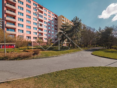Prodej bytu 1+1 36 m² (Jednopodlažní)