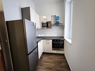 Pronájem bytu 1+1 35 m² (Jednopodlažní)