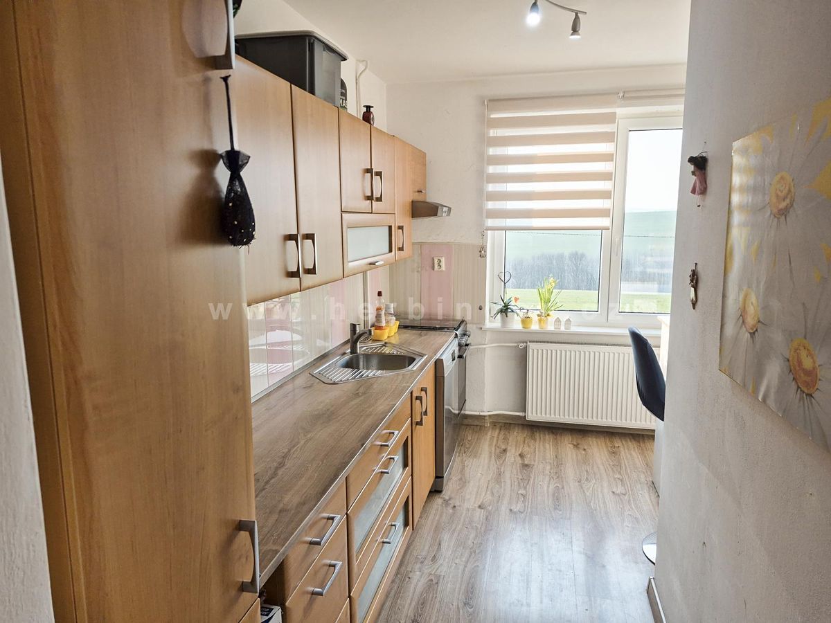 Prodej rodinného domu 250 m², pozemek 614 m² – fotografie 5