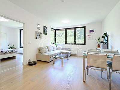 Pronájem bytu 2+kk 47 m² (Jednopodlažní)